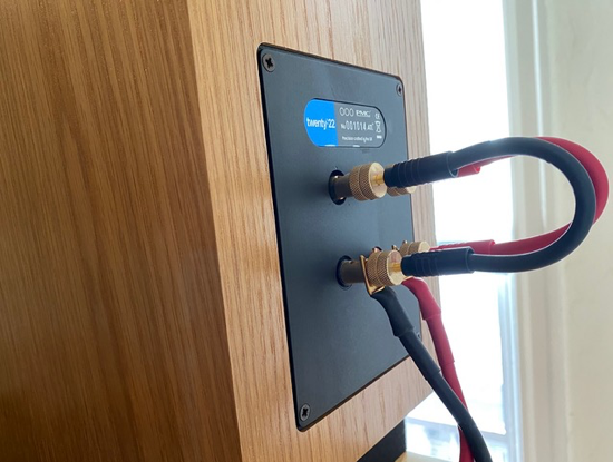 Connecting Acoustic Zen Satori cables